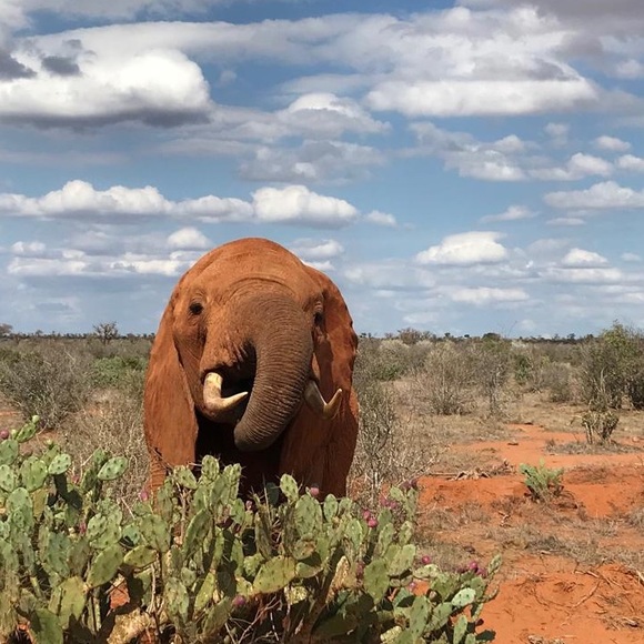 Meet your Posher - Picture 2 of 7